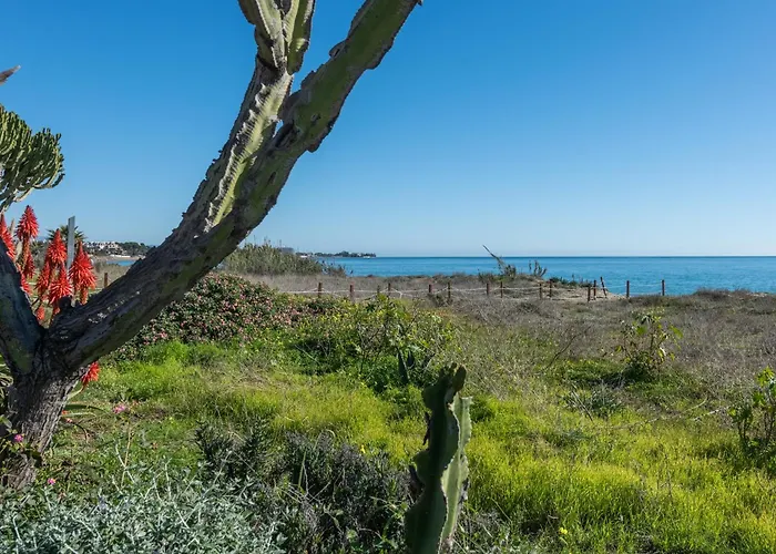 Διαμέρισμα De Lujo A 30m Playa